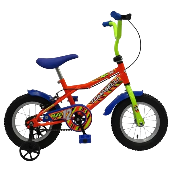 BICI.TOMASELLI R12 CON RAYOS Y CAMARA VARON